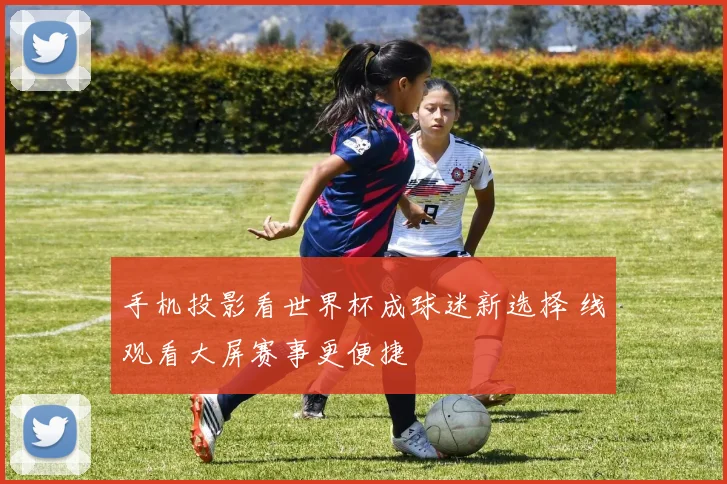 手机投影看世界杯成球迷新选择 线观看大屏赛事更便捷