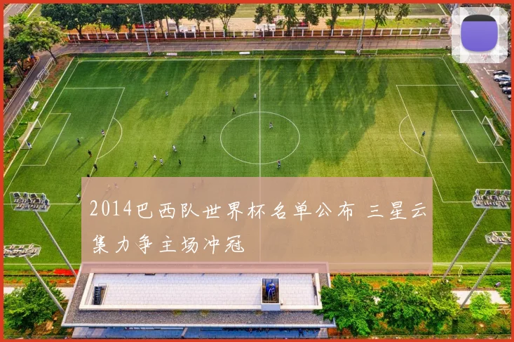 2014巴西队世界杯名单公布 三星云集力争主场冲冠
