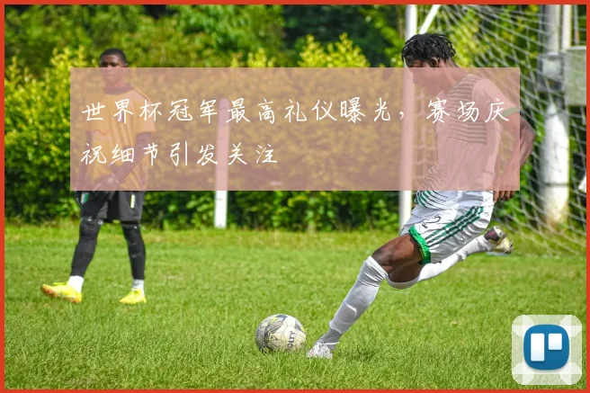 世界杯冠军最高礼仪曝光，赛场庆祝细节引发关注
