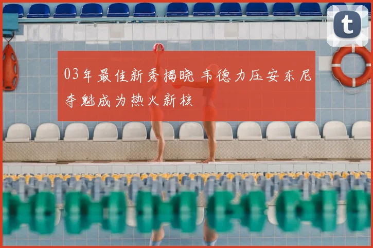 03年最佳新秀揭晓 韦德力压安东尼夺魁成为热火新核