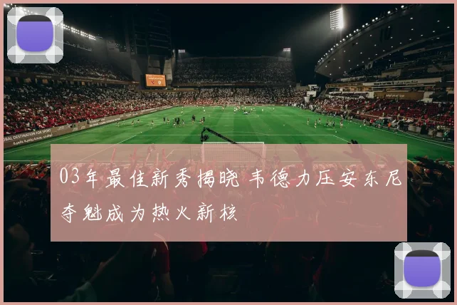 03年最佳新秀揭晓 韦德力压安东尼夺魁成为热火新核