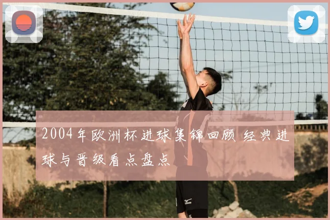 2004年欧洲杯进球集锦回顾 经典进球与晋级看点盘点