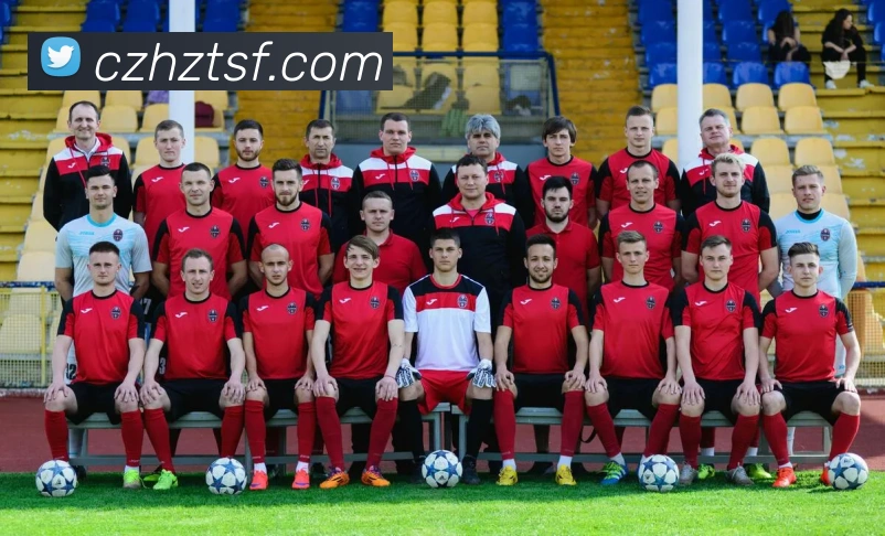 世界杯网上购票平台平台生态图